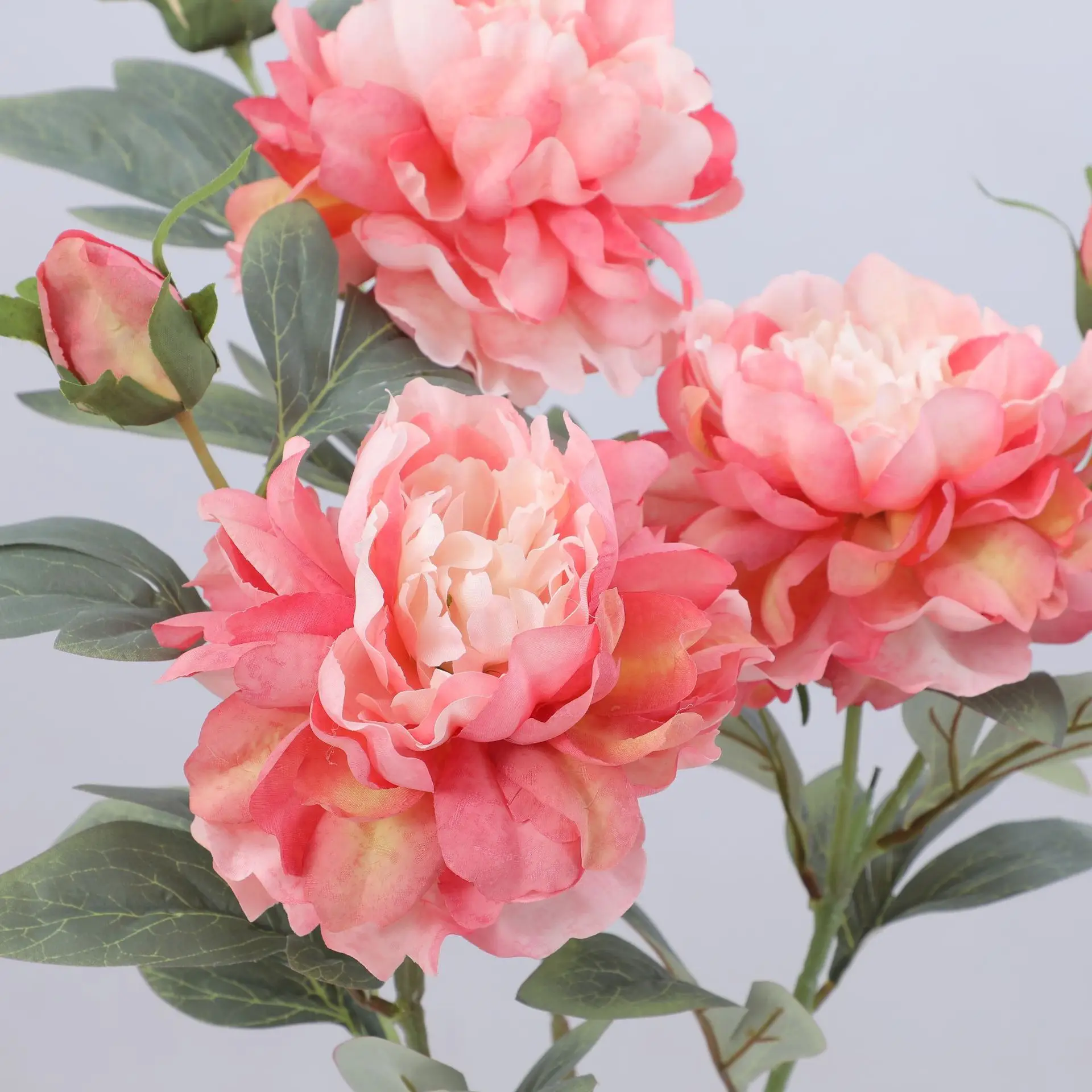 Artificial Peony Flower Single - Flower Wall Panel ulasan dan harga