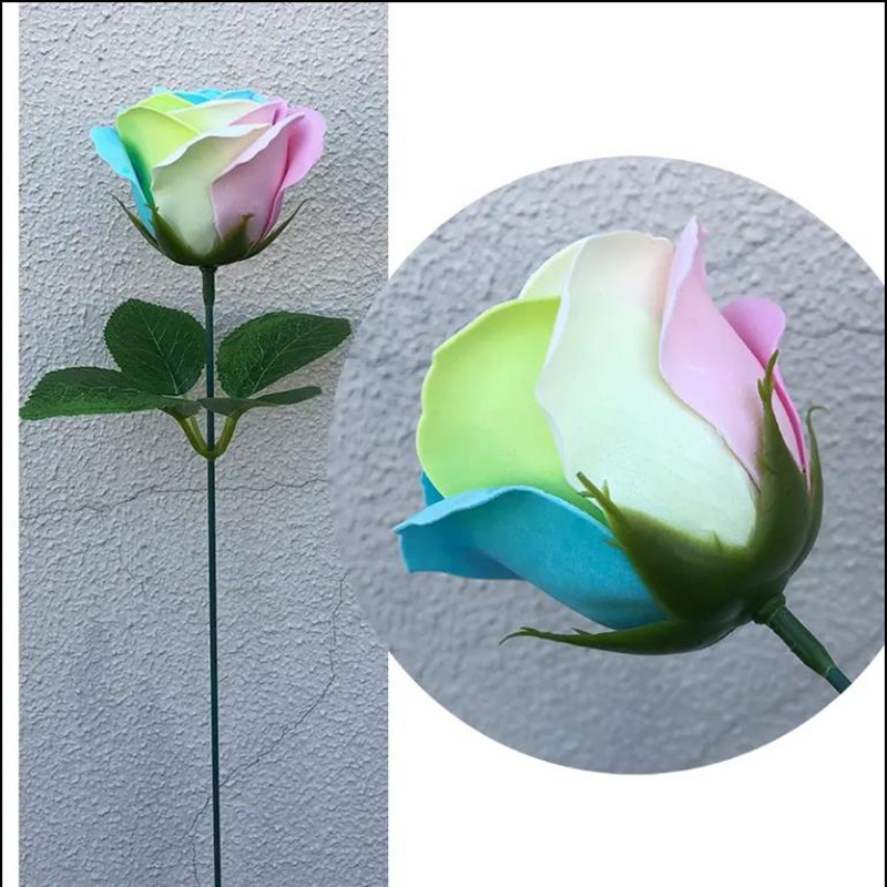 Spilewka 6X7cm Colorful Rose A - Eve Party ulasan dan harga